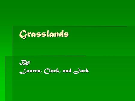 Grasslands By: Lauren, Clark, and Jack. Location Grasslands are located in Africa, Australia, South America, and India. The largest example of the grasslands.