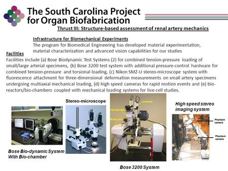 Thrust III: Structure-based assessment of renal artery mechanics Infrastructure for Biomechanical Experiments The program for Biomedical Engineering has.