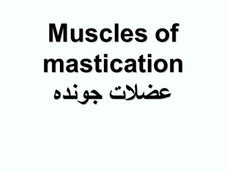 Muscles of mastication عضلات جونده