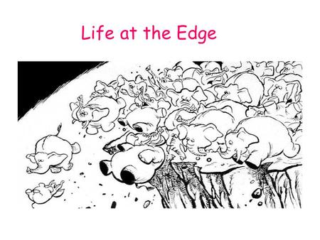 Life at the Edge. Yes, life at the edge CAN be risky…. But not for extremophiles! Not only are extremophiles perfectly suited for their environments,