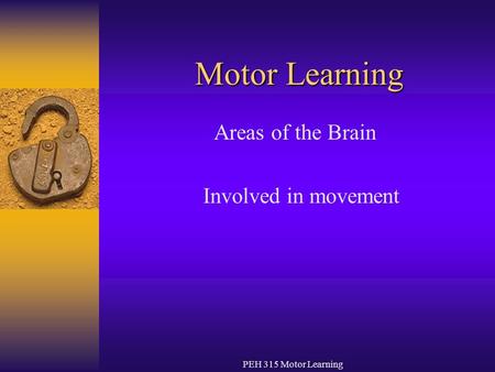 Areas of the Brain Involved in movement