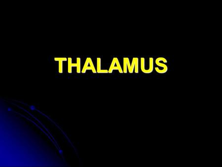 THALAMUS.