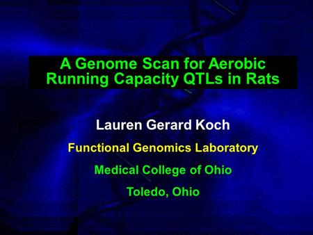 Lauren Gerard Koch Functional Genomics Laboratory Medical College of Ohio Toledo, Ohio A Genome Scan for Aerobic Running Capacity QTLs in Rats.