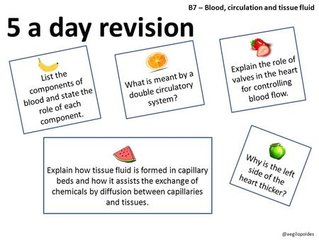 B7 – Blood, circulation and tissue fluid