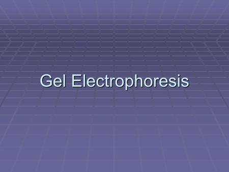 Gel Electrophoresis.  This workforce solution was funded by a grant awarded under the President’s High Growth Job Training Initiative as implemented.