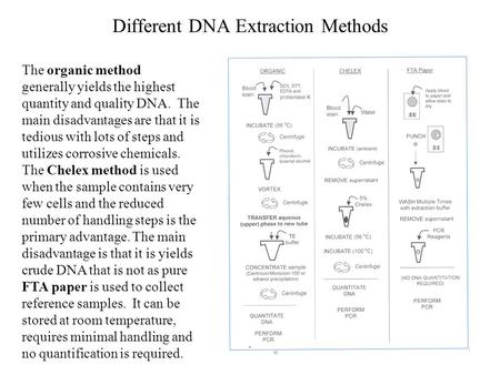 Different DNA Extraction Methods The organic method generally yields the highest quantity and quality DNA. The main disadvantages are that it is tedious.