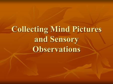 Collecting Mind Pictures and Sensory Observations.