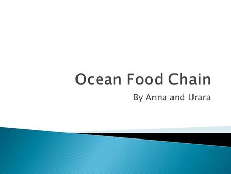 By Anna and Urara.  A food chain is a line of animals that depend on the different species to eat. If a species dies, it effects another animal that.