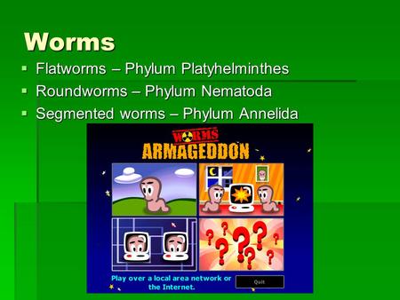 Worms  Flatworms – Phylum Platyhelminthes  Roundworms – Phylum Nematoda  Segmented worms – Phylum Annelida.