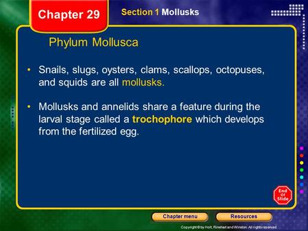 Copyright © by Holt, Rinehart and Winston. All rights reserved. ResourcesChapter menu Snails, slugs, oysters, clams, scallops, octopuses, and squids are.