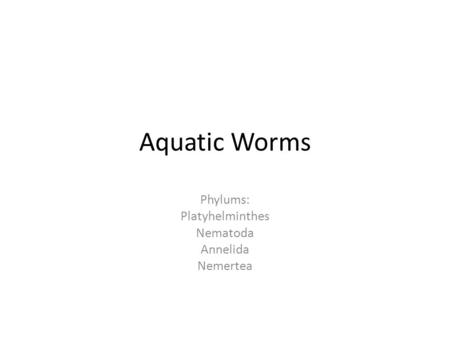 Phylums: Platyhelminthes Nematoda Annelida Nemertea