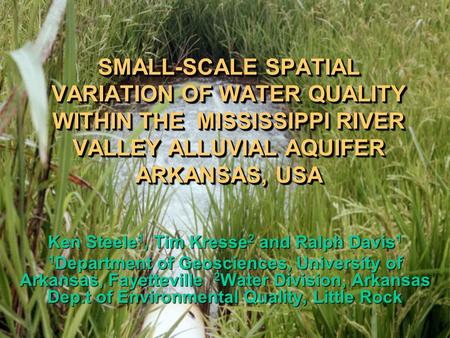 SMALL-SCALE SPATIAL VARIATION OF WATER QUALITY WITHIN THE MISSISSIPPI RIVER VALLEY ALLUVIAL AQUIFER ARKANSAS, USA Ken Steele 1, Tim Kresse 2 and Ralph.