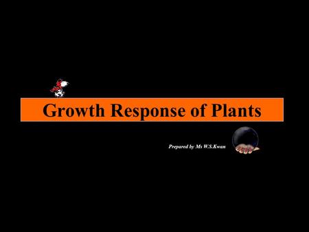 Growth Response of Plants