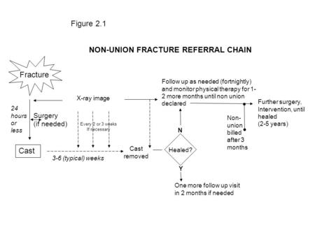 NON-UNION FRACTURE REFERRAL CHAIN Fracture X-ray image Cast Cast removed One more follow up visit in 2 months if needed 3-6 (typical) weeks 24 hours or.