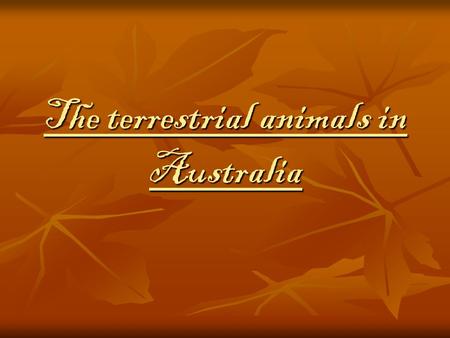 The terrestrial animals in Australia