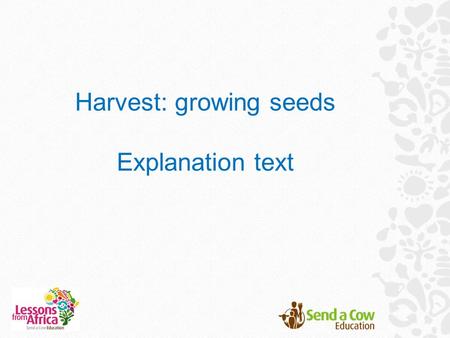 Harvest: growing seeds Explanation text. Send a Cow supports poor families in rural Africa to make the best of their land, so that they can grow their.