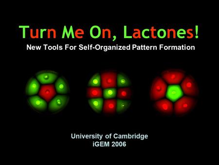 Turn Me On, Lactones! New Tools For Self-Organized Pattern Formation University of Cambridge iGEM 2006.