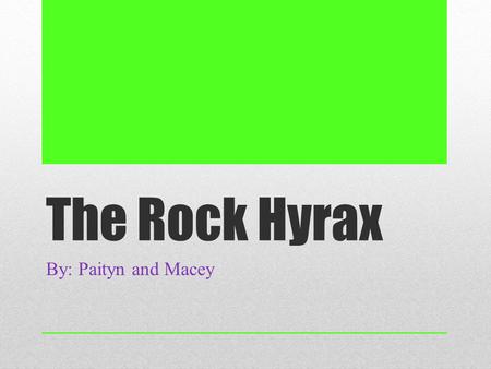 The Rock Hyrax By: Paityn and Macey. A hyrax can live up to 9-12 years. The females usually live longer than the males. Life Span.