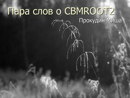 Пара слов о CBMROOT2 Прокудин Миша. Linux distribution tested ► Debian 3.0 (GSI)  GCC 3.4.4  GLibC 2.2.5 ► SLC 3.0.6 (ITEP)  GCC 3.2.3  GLibC 2.3.2.