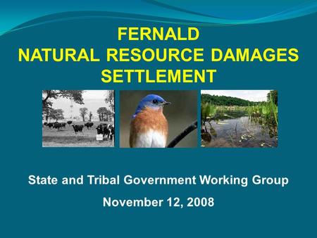 State and Tribal Government Working Group November 12, 2008 FERNALD NATURAL RESOURCE DAMAGES SETTLEMENT.