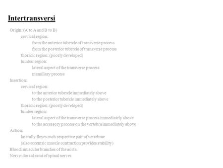Intertransversi Origin: (A to A and B to B) cervical region: from the anterior tubercle of transverse process from the posterior tubercle of transverse.