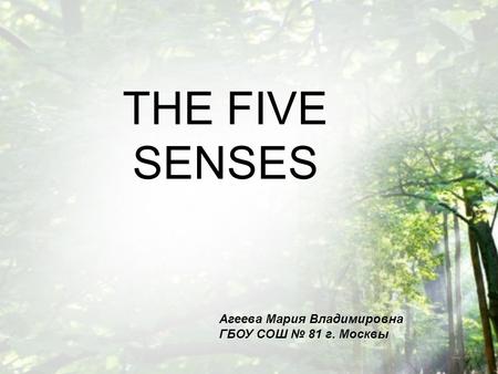 THE FIVE SENSES Агеева Мария Владимировна ГБОУ СОШ № 81 г. Москвы.