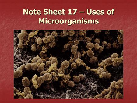 Note Sheet 17 – Uses of Microorganisms. What is a microorganism? Microorganism – a single-celled organism too small to see without the use of a microscope.