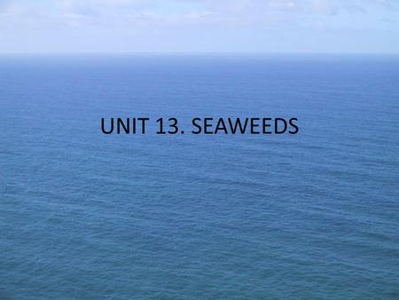 UNIT 13. SEAWEEDS.