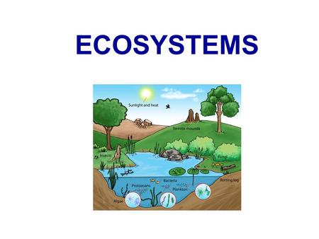 ECOSYSTEMS.