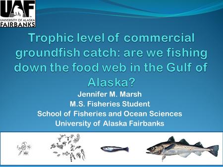 Jennifer M. Marsh M.S. Fisheries Student School of Fisheries and Ocean Sciences University of Alaska Fairbanks.