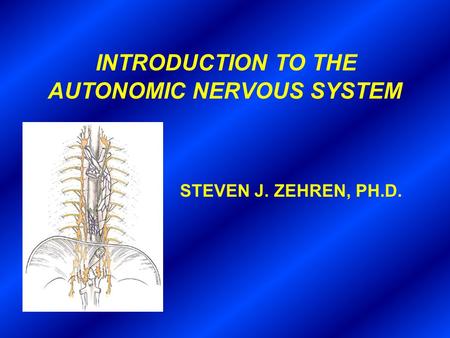 INTRODUCTION TO THE AUTONOMIC NERVOUS SYSTEM STEVEN J. ZEHREN, PH.D.