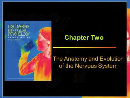 Chapter Two The Anatomy and Evolution of the Nervous System.