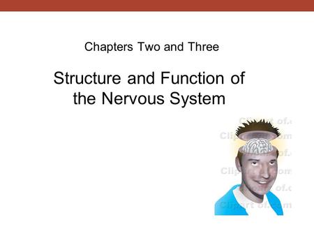 Chapters Two and Three Structure and Function of the Nervous System.