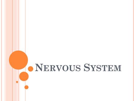 N ERVOUS S YSTEM. T HE N ERVOUS S YSTEM N ERVOUS S YSTEM The brain and spinal cord The brain is the location of most information processing. The spinal.