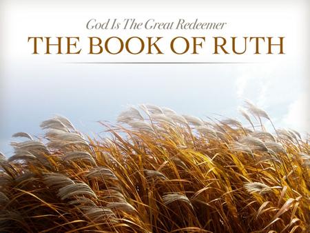 Ruth. A Great Book Ch. 1 - Introduction: Naomi’s Loss Ch. 1 - Naomi & Ruth Seek God’s People Ch. 2 - Ruth Meets Boaz in the Fields Ch. 3 - Ruth Goes to.