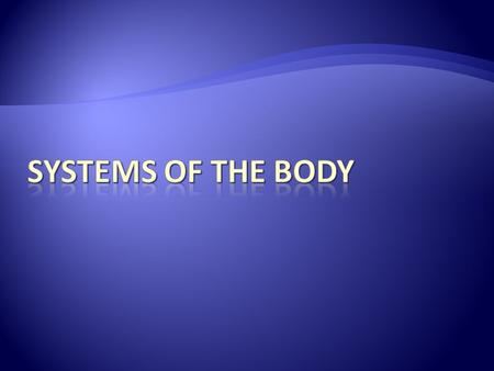 THE NERVOUS SYSTEM FUNCTION: The nervous system controls & coordinates everything in the body. This includes all movement and all of the activities of.