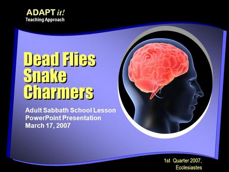 Dead Flies Snake Charmers Adult Sabbath School Lesson PowerPoint Presentation March 17, 2007 ADAPT it! Teaching Approach 1st Quarter 2007, Ecclesiastes.