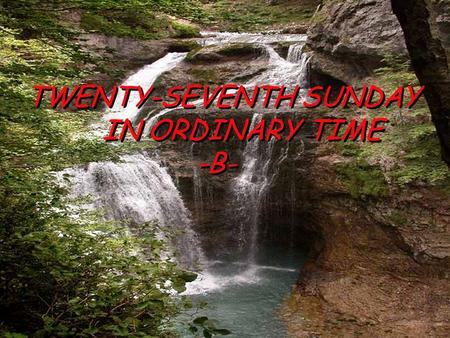 TWENTY-SEVENTH SUNDAY IN ORDINARY TIME -B- TWENTY-SEVENTH SUNDAY IN ORDINARY TIME -B-