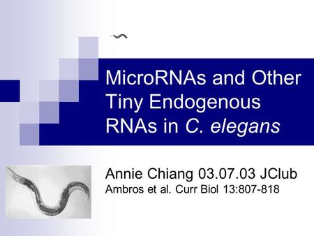 MicroRNAs and Other Tiny Endogenous RNAs in C. elegans Annie Chiang 03.07.03 JClub Ambros et al. Curr Biol 13:807-818.