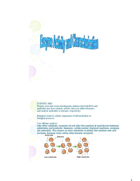 1 ENZYMES ARE: Proteins (note that recent developments indicate that both RNA and antibodies may have catalytic activity, these are called ribozymes, and.