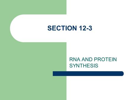 RNA AND PROTEIN SYNTHESIS