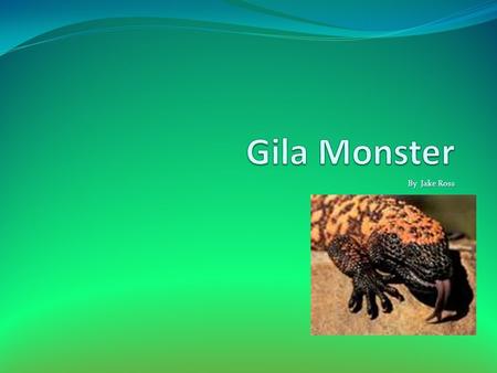 By Jake Ross. Introduction Have you ever seen a pink yellow lizard? You were probably looking at a Gila Monster. Did you no it’s poisonous? Gila Monsters.