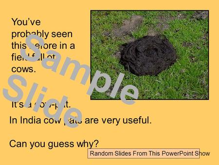 You’ve probably seen this before in a field full of cows. It’s a cow-pat. In India cow pats are very useful. Can you guess why? Sample Slide Random Slides.