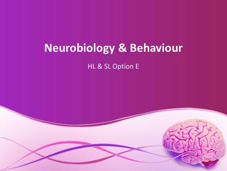 Neurobiology & Behaviour