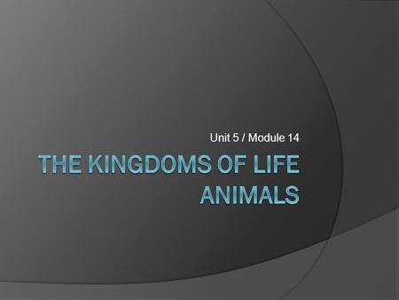 The Kingdoms of Life Animals