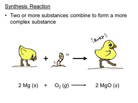 Synthesis Reaction Two or more substances combine to form a more complex substance 2 Mg (s) + O 2 (g) 2 MgO (s)