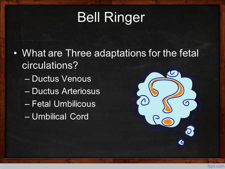 Bell Ringer What are Three adaptations for the fetal circulations?