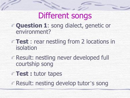 Different songs Question 1: song dialect, genetic or environment? Test : rear nestling from 2 locations in isolation Result: nestling never developed full.