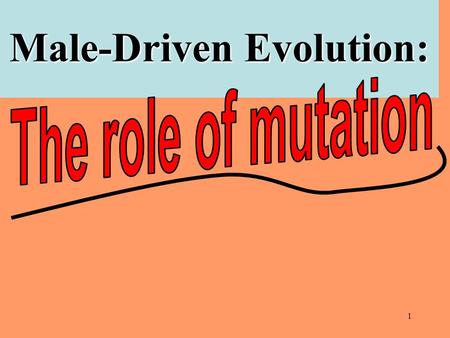 1 Male-Driven Evolution:. 2 The Rate of Substitution is Positively Correlated with the Rate of Mutation and Negatively Correlated with the Degree of Purifying.