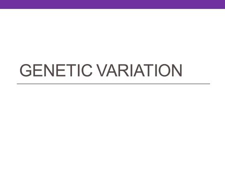 GENETIC VARIATION. Genetic Variation Meiosis and sexual reproduction ensure that variation occurs in individuals within a population/species.